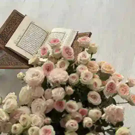 دعاء ٬ اذكار ٬ ادعيه ٬ قران ،🌼