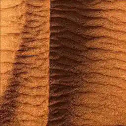 عَـ Profile
