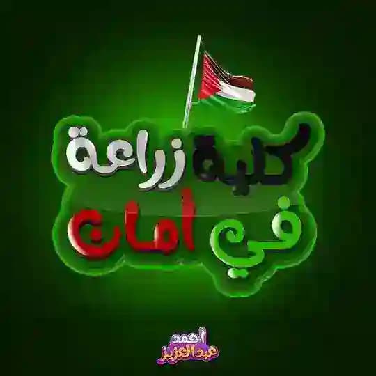 كليه زراعه في أمان 🤍