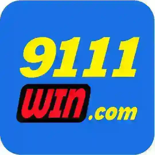 9111WIN.COM Profile