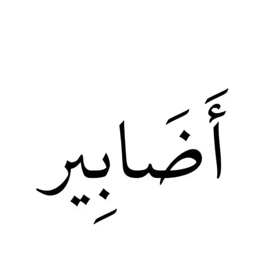 أَضَابِير |عبدالمنعم الذكرالله