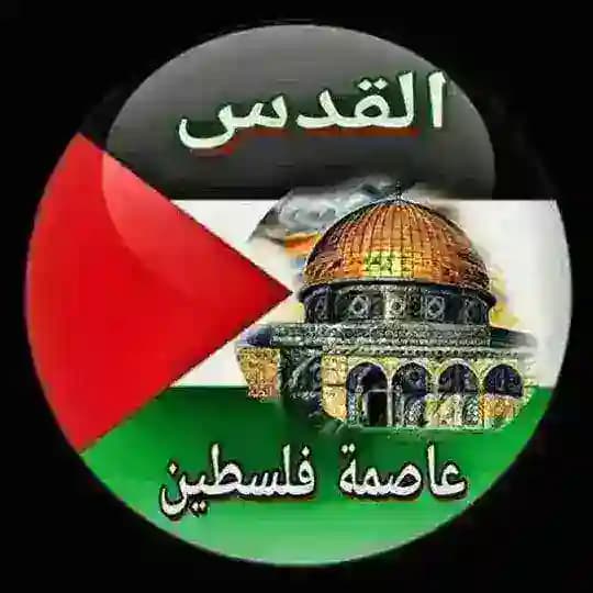 تلفزيون فلسطين TV 𓂆🇵🇸