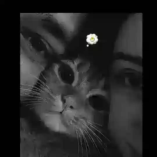 ᴋᴀʟᴘ ʏᴀʀᴀᴤɪ