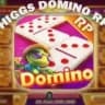 AGENT HIGGS DOMINO CHIP