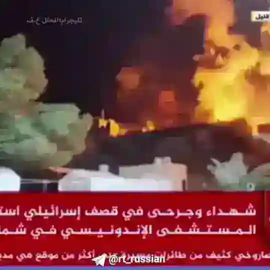 آخر الأخبار الحصان العربي اللغة العربية