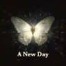 A New Day ✨