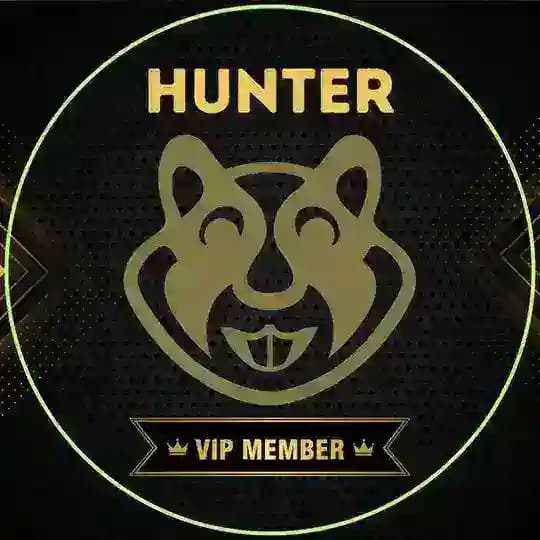 ASETLINK VIP