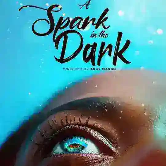 A SPARK IN THE DARK