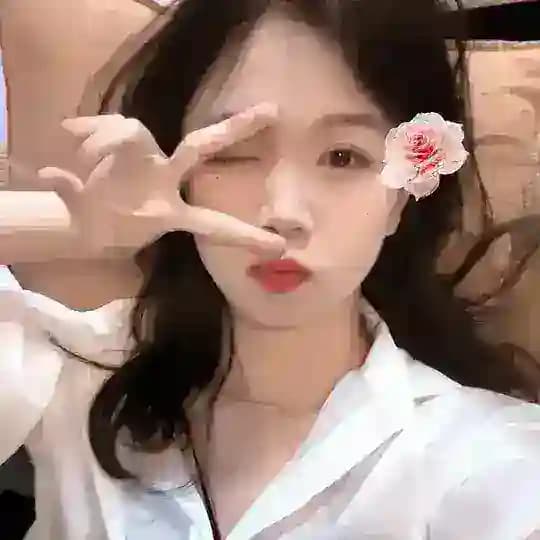 冰激凌🍧的小花园