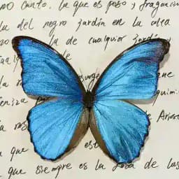 A Voces 🦋 Profile