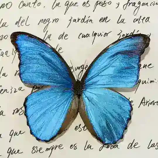 A Voces 🦋 Profile