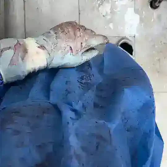 أكشن وحالات الطوارئ ❤️‍🔥