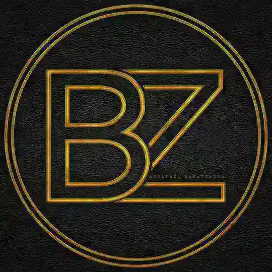 Abolfazl Baratzadeh Profile