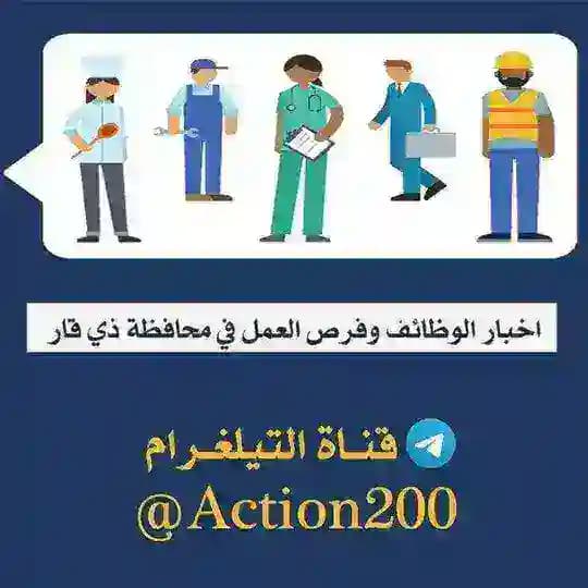 أخبار تعيينات وفرص عمل ذي قار Profile