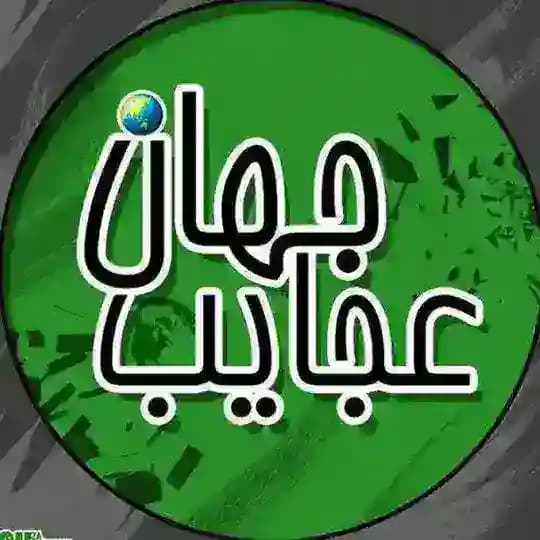 عجیب ولی واقعی های جهان