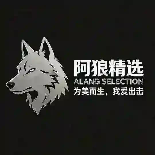 阿狼精选 -【泉州晋江修车】
