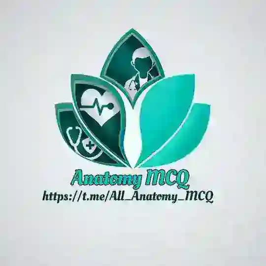 Anatomy MCQ