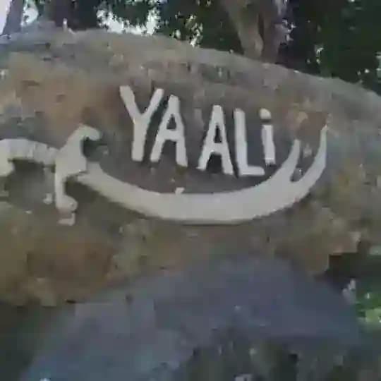 Allah, Muhəmməd, Ya Əli