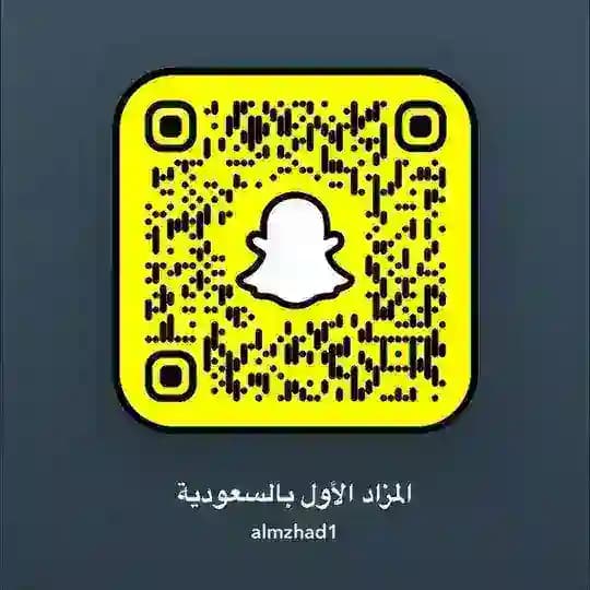 قناة المزاد الاول بالسعودية