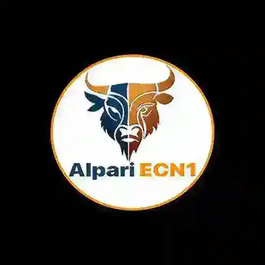 Alpari ECN1