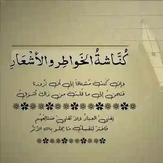 كناشة الخواطر والأشعار.