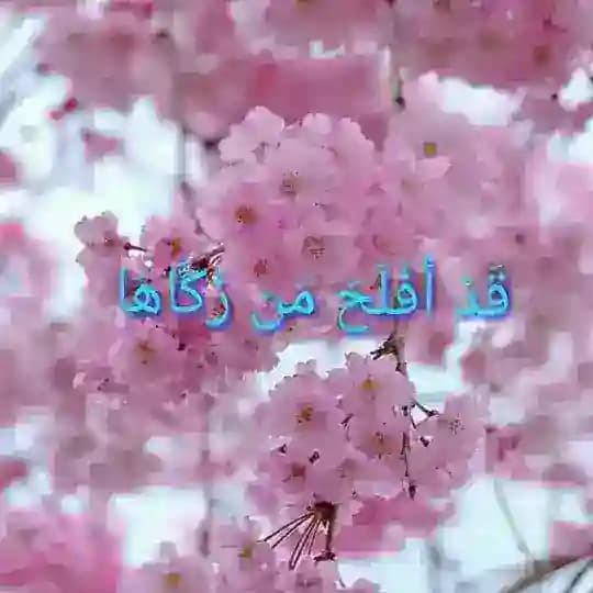 🌸تزكية النفوس🌸
