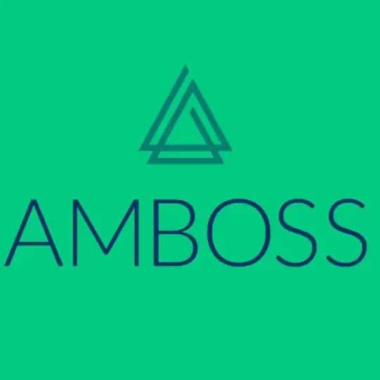 AMBOSS