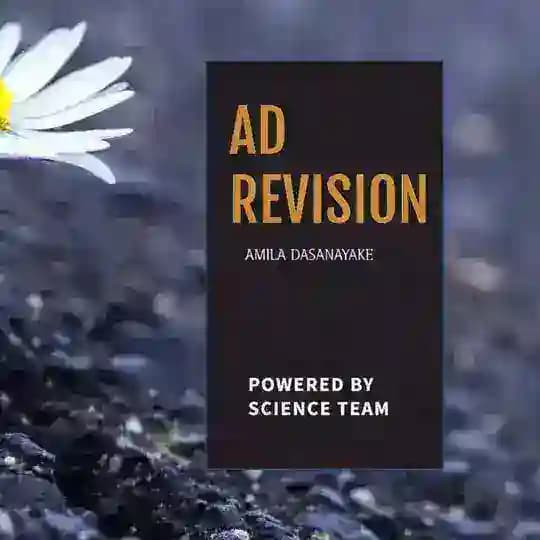 AD 25/24 REVISION
