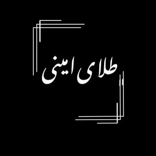 talaye__amini