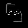 talaye__amini