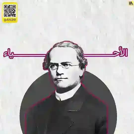 علي العزو