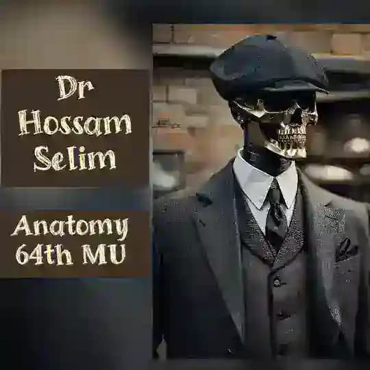 Anatomy & Embryology Dr/H.S (64th MU )