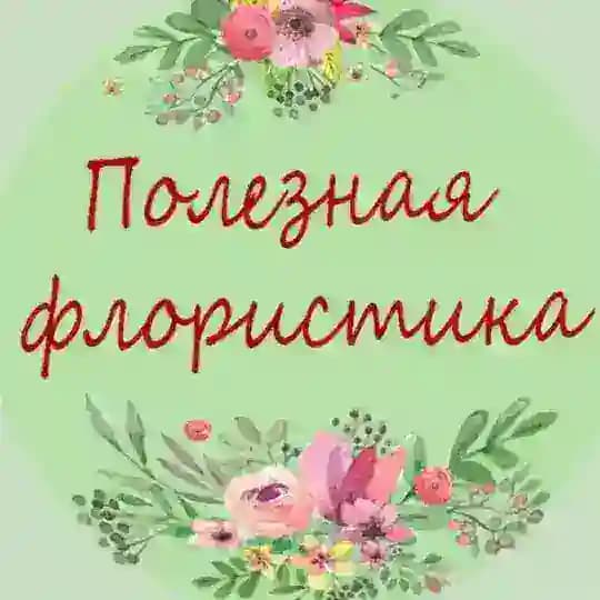 Полезная флористика