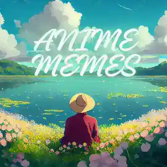 Anime Memes