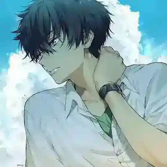 Anime in Hindi Dub Ofc