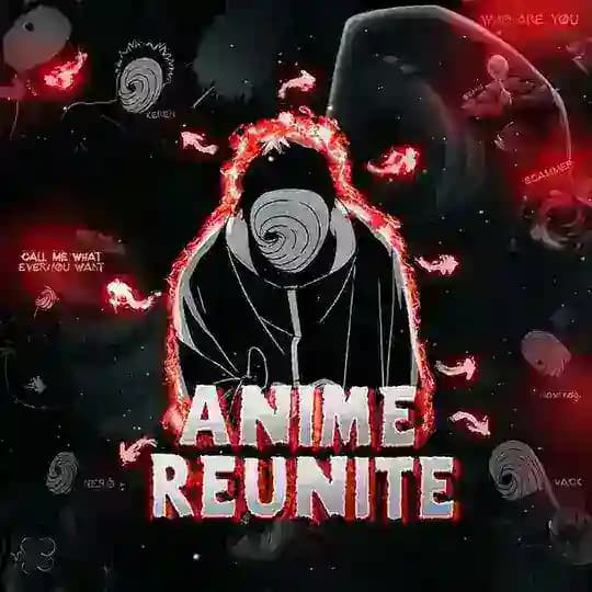 Anime Reunite