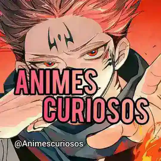 🐲 Animes Curiosos