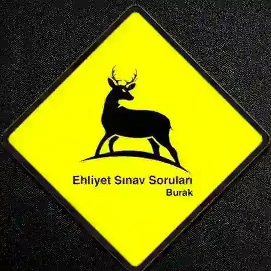 Ehliyet Sınav Soru Paylaşımı