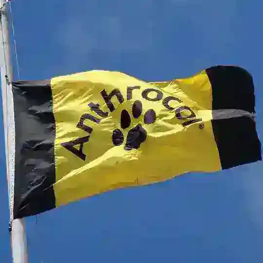 Anthrocon Announcements
