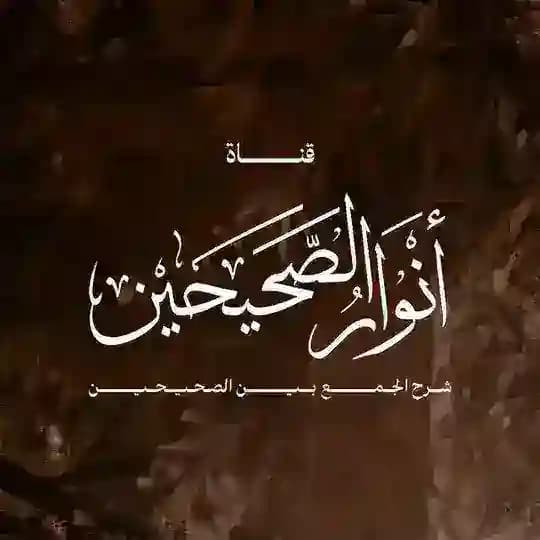 أنوار الصحيحين | شرح الجمع بين الصحيحين