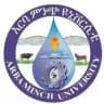 Arba Minch University Info Center