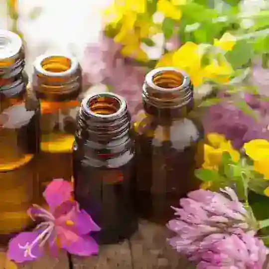 Aromaterapia com dōTERRA