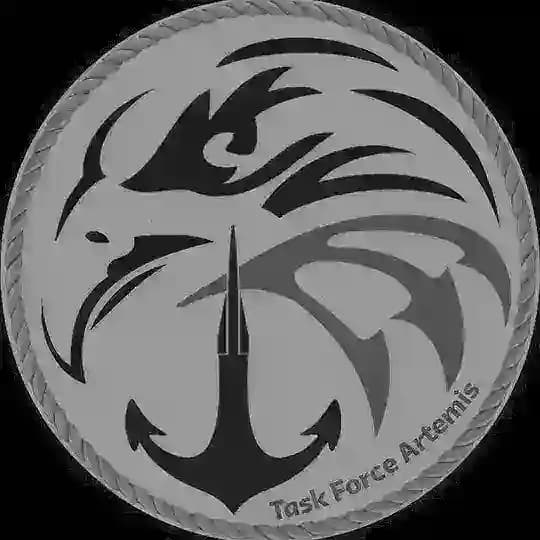 Task Force Artemis⚓️