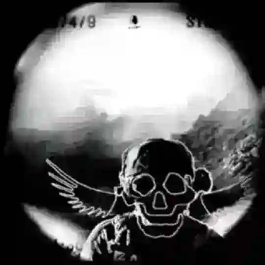 Millitary Vision Profile