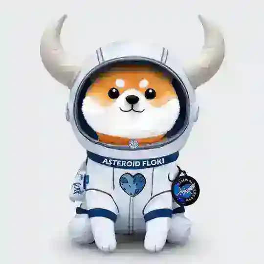 Asteroid Floki Entry