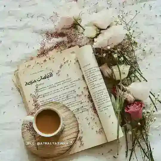 🌸أقتباسات🎶 منوعة🌸 Profile