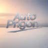Avto prigon