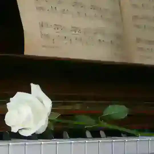 آوای موسیقی