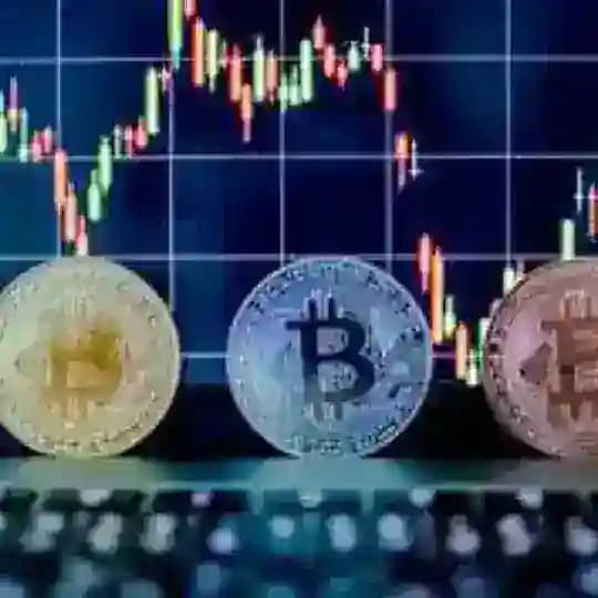 Avril Crypto