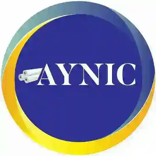 گروه بازرگانی آقایی(AYNIC)